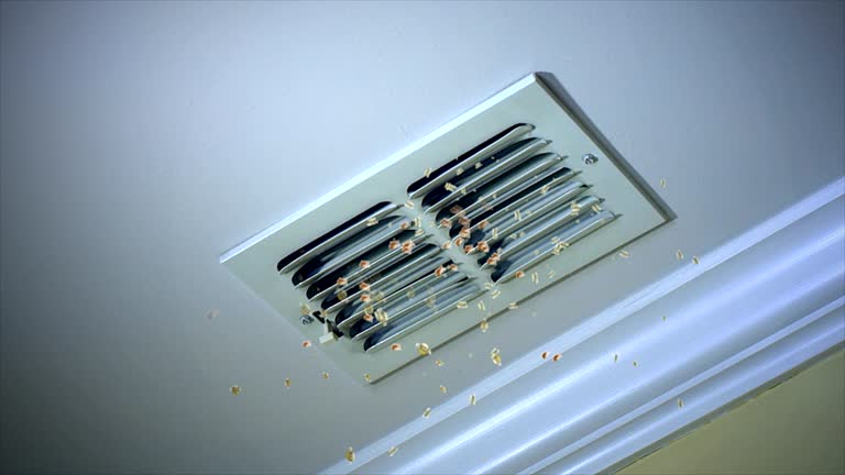 Best Air Duct Cleaning Near Me  in Pine Lawn, MO