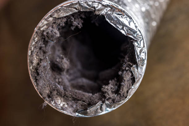 Best Air Duct Cleaning Near Me  in Pine Lawn, MO