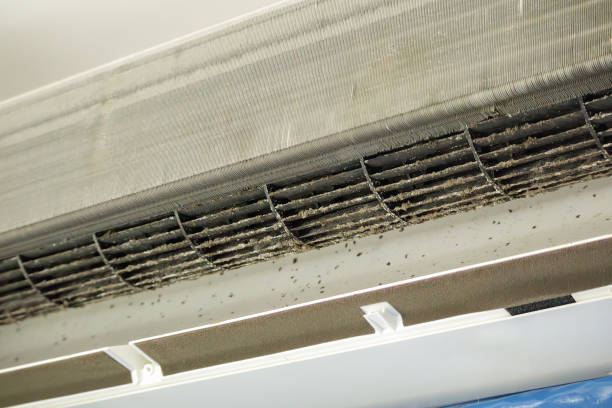 Best Dryer Vent Cleaning Services  in Pine Lawn, MO